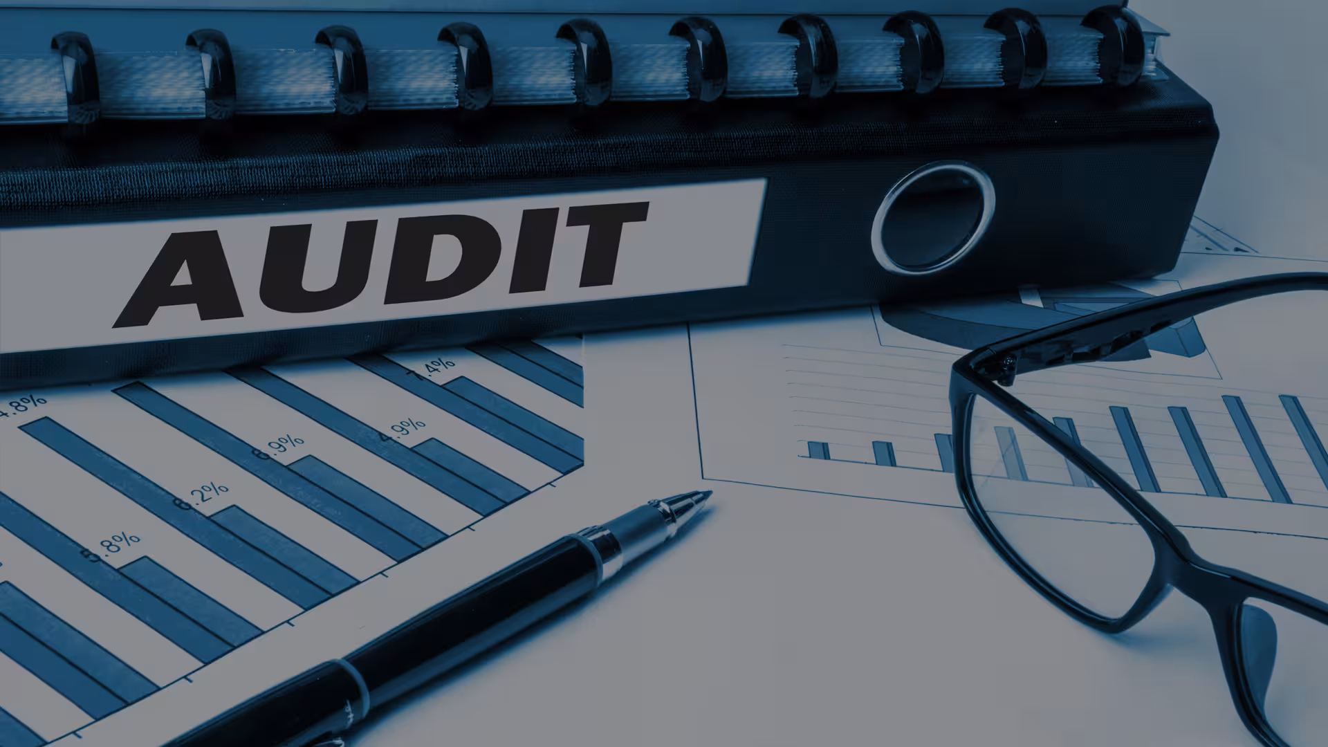 Audit